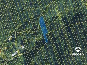 Prodej podílu lesa, Kněždub, 3060 m2