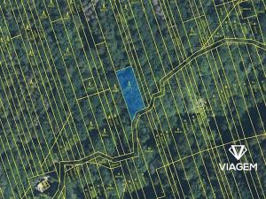 Prodej podílu lesa, Kněždub, 3060 m2