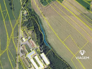 Prodej podílu lesa, Proseč, 522 m2