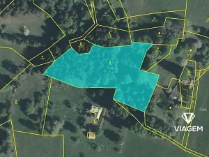 Prodej podílu lesa, Valašská Senice, 4990 m2
