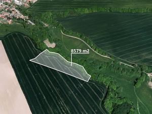 Prodej podílu pole, Petroupim, 218 m2