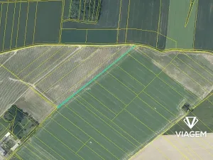 Prodej podílu pole, Dolní Životice, 315 m2