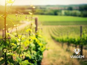 Prodej podílu sadu/vinice, Žarošice, 1017 m2