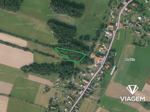 Prodej podílu lesa, Olešnice, 292 m2