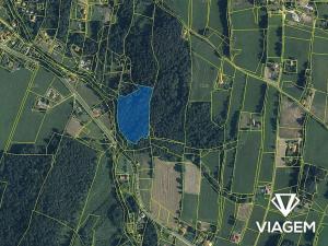 Prodej podílu lesa, Janovice, 1420 m2