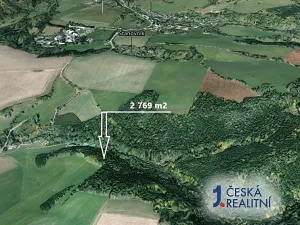 Prodej podílu lesa, Těchonín, 451 m2
