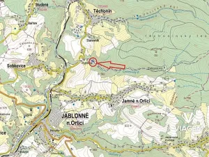 Prodej podílu lesa, Těchonín, 451 m2