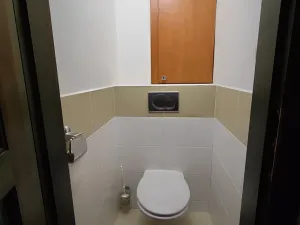 Pronájem bytu 3+kk, Kutná Hora, Jana Palacha, 56 m2