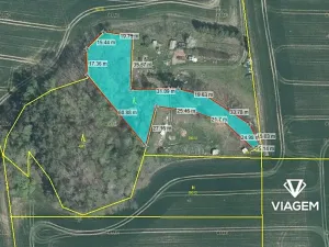 Prodej podílu lesa, Lipová, 2049 m2