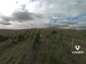 Prodej podílu pole, Valtice, 706 m2