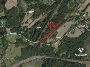 Prodej lesa, Doubrava, 2786 m2