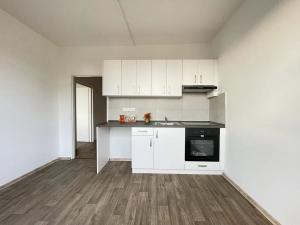 Pronájem bytu 1+1, Litvínov, U Bílého sloupu, 40 m2