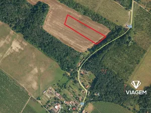 Prodej podílu pole, Horušice, 2336 m2