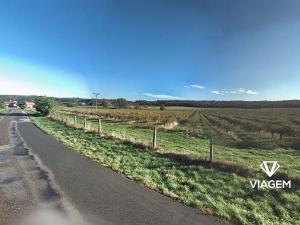 Prodej podílu zahrady, Horušice, 2981 m2