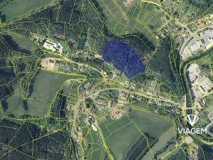 Prodej podílu lesa, Náchod, 6349 m2