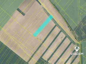 Prodej podílu pole, Čebín, 6396 m2