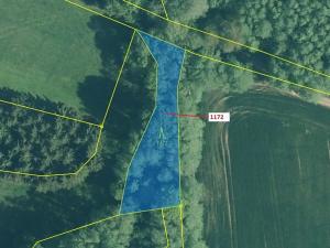 Dražba lesa, Kuřimany, 875 m2