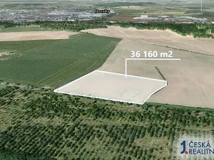 Prodej pole, Dobrovice, 36160 m2