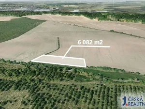 Prodej pole, Vinařice, 6082 m2