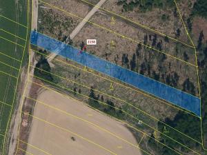 Dražba lesa, Žirovnice, 2356 m2