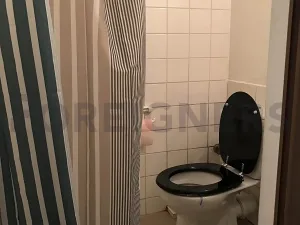 Pronájem bytu 1+kk, Praha - Vinohrady, Lužická, 17 m2