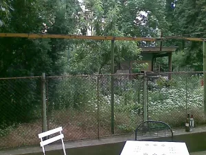 Pronájem bytu 1+kk, Praha - Vinohrady, Lužická, 17 m2