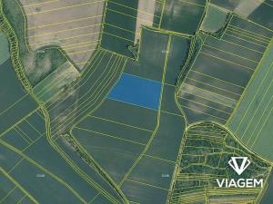 Prodej podílu pole, Syrovice, 1177 m2