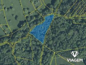 Prodej podílu lesa, Luhačovice, 2043 m2