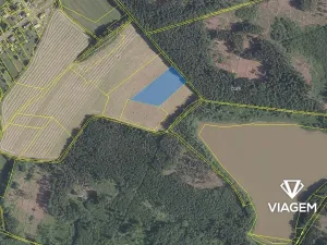 Prodej podílu pole, Velká Bukovina, 1755 m2