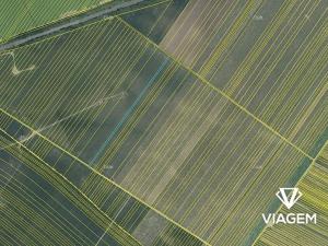 Prodej podílu pole, Moravská Nová Ves, 552 m2