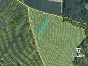 Prodej podílu pole, Mistřice, 834 m2