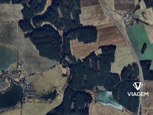 Prodej pole, Bor, 959 m2