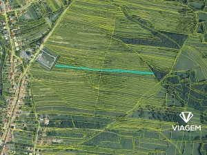 Prodej podílu zahrady, Velká nad Veličkou, 1014 m2