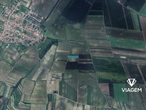 Prodej podílu pole, Přítluky, 229 m2