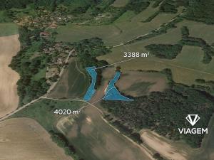 Prodej podílu lesa, Kravaře, 714 m2