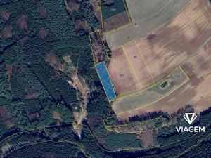 Prodej lesa, Konojedy, 3288 m2