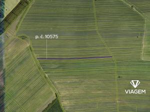 Prodej podílu pole, Javorník, 2748 m2