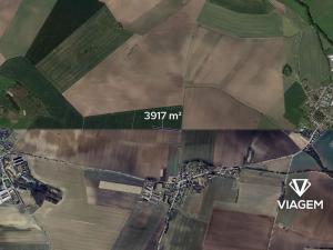 Prodej podílu pole, Smidary, 652 m2