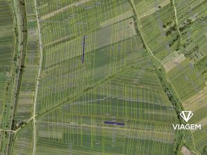 Prodej podílu pole, Javorník, 1143 m2