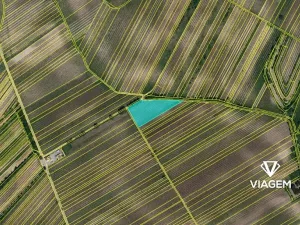 Prodej podílu pole, Velké Bílovice, 922 m2