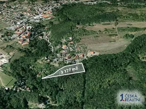 Prodej lesa, Sýkořice, 3177 m2