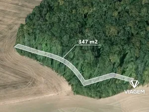 Prodej lesa, Hustopeče nad Bečvou, 347 m2