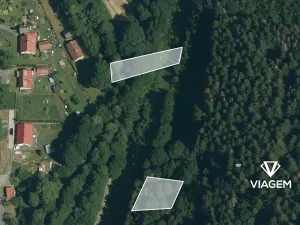 Prodej lesa, Růžďka, 518 m2