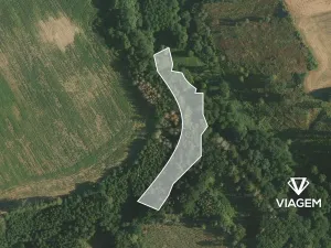 Prodej podílu lesa, Vilémov, 430 m2