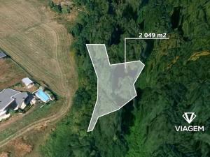 Prodej lesa, Velká Polom, 1258 m2