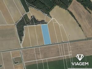 Prodej podílu pole, Horšovský Týn, 1559 m2