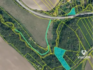 Prodej podílu lesa, Horní Řepčice, 3511 m2