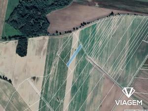 Prodej podílu pole, Veselí nad Lužnicí, 917 m2