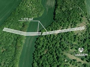 Prodej pole, Borkovany, 1110 m2