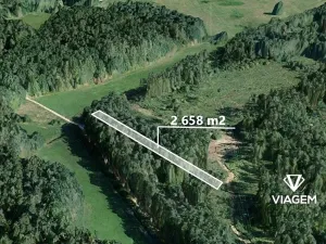 Prodej podílu lesa, Třeboň, 664 m2